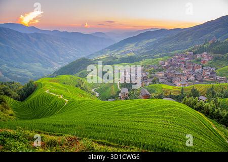 Longji-Reisterrassen auf dem Yaoshan-Berg in Guangxi, China, Sonnenaufgangslicht Stockfoto