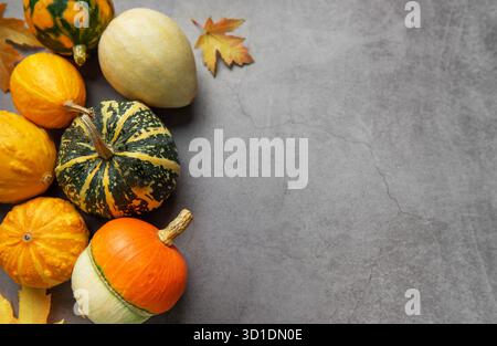 Dekorative Kürbisse und farbenfrohe Herbstblätter sorgen für eine lebendige jahreszeitliche Darstellung auf dunklem Hintergrund Stockfoto