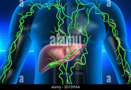 3D-Illustration eines abstrakten medizinischen Hintergrunds mit gesunder menschlicher Leber Stockfoto