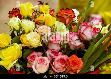 Lebhafter Blumenstrauß farbenfroher Rosen in voller Blüte mit Grün Stockfoto