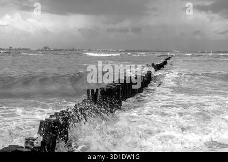 Schwarz-weiße Meereslandschaft mit stürzenden Wellen und verwitterten Holzpfosten Stockfoto