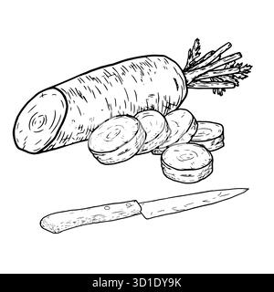 Reife Karotten, ganz und in Scheiben geschnitten und geschnitten, schwarz-weiß lackiert. Vektorabbildung. Bauerngemüse und ein Messer, isoliert auf weißem Hintergrund. Stock Vektor