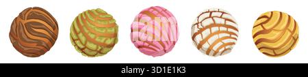 Gemischte mexikanische Pan Dulce Conchas Kollektion mit Schokoladen-, Pistazien-, Erdbeeren-, Vanille- und Butteraromen – isolierte Kollektion Stock Vektor