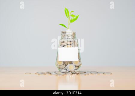Glasgefäß gefüllt mit Münzen und einem kleinen Sämling in der Mitte, mit Stapel Münzen auf Holztisch mit Kopierraum. Stockfoto