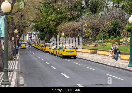Funchal, Madeira, Portugal - 03.27.2025: Taxireihe in der Avenida Arriaga Straße in Funchal, Madeira, Portugal Stockfoto