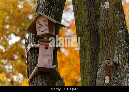 Lächelnde hölzerne Vogelhaus-Figur, die im Herbst an einem Baum befestigt ist Stockfoto
