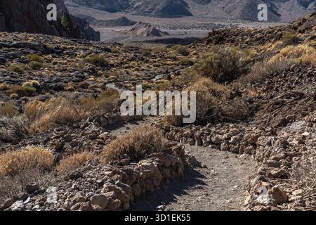 Der von Steinmauern umgebene gewundene Weg durchquert die vulkanische Ebene mit kargen Sträuchern inmitten von zerklüftetem Lavastein auf Teneriffa Stockfoto