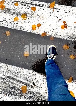 Fußgänger überqueren die nasse Straße an einem regnerischen Herbsttag mit gefallenen gelben Blättern auf dem Asphalt. Stockfoto