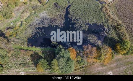 Diese Herbstszene bietet einen ruhigen Teich umgeben von bunten Bäumen und grüner Vegetation. Die Landschaft strahlt Ruhe und natürliche Schönheit aus. zelezna Stockfoto