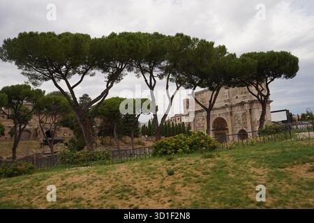 Ein antiker römischer Triumphbogen hinter den berühmten Silhouetten von Kiefern, der die dramatische historische Landschaft Roms in Italien einfängt. Stockfoto