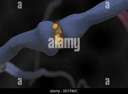 Synapse und Neuron Zellen senden elektrische chemische Signale 3D-Rendering Stockfoto