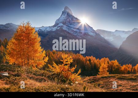 Matterhorn, Schweizer Alpen, Schweiz. Landschaftsbild der Schweizer Alpen mit dem berühmten Gipfel Matterhorn im Hintergrund bei schönem Herbstuntergang. Stockfoto