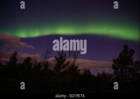 A stunning aurora borealis stretches across the night sky above a forested landscape, with silhouetted trees and a starry sky Stockfoto