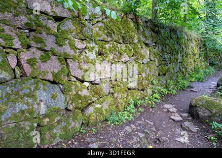 Alte moosbedeckte Steinmauer in einem Waldweg Stockfoto