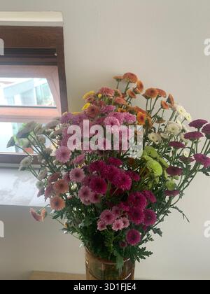 Ein lebhafter Blumenstrauß aus mehrfarbigen Chrysanthemen in voller Blüte in Rosa, Gelb, weiß und Violett. Stockfoto