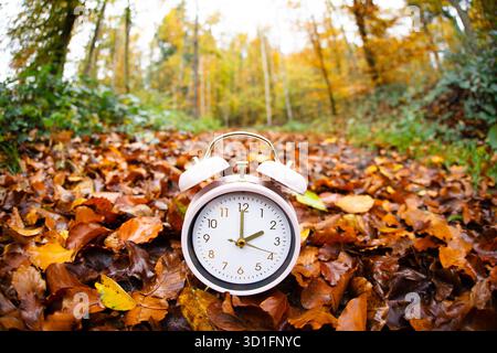 Winterumstellung, Ende der Sommerzeit im Herbst, Wecker-Rückfallschalter, Wald mit bunten Laub Stockfoto