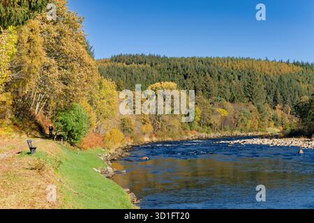 River Spey Aberlour Scotland bei Wester Elchies im frühen Herbst Stockfoto