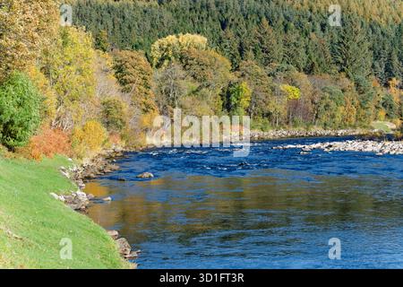 River Spey Aberlour Scotland bei Wester Elchies Trees im frühen Herbst Stockfoto
