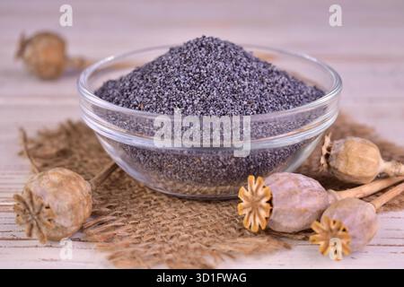 Mohnsamen in einer transparenten Schüssel und getrocknete Mohnköpfe auf weißem Hintergrund. Stockfoto