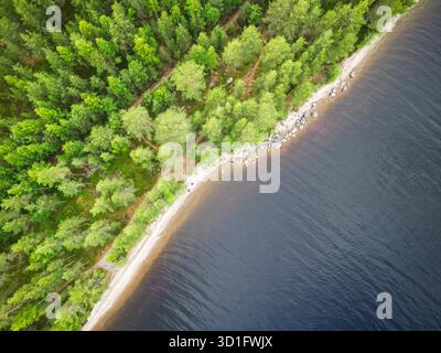 Forest meets Beach: Blick aus der Vogelperspektive auf üppige grüne Bäume und Sandstrand Stockfoto