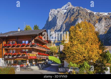 Dorfbäckerei mit Wetterhorn 3690m im Herbst, Grindelwald, Luetschinental, Berner Oberland, Kanton Bern, Schweiz Stockfoto