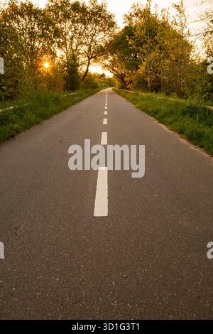 Asphaltradweg in flachem Winkel, der in die Natur führt, mit Streifen auf dem Boden Stockfoto