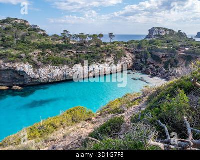 SA Calobra Beach, Mallorca, atemberaubende Küstenlandschaft mit einem lebhaften türkisfarbenen Meer, üppigem Grün und felsigen Klippen mit einem Sandstrand, Mallorca Stockfoto