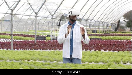 Forscher mit Labormantel und VR-Headset bei der Inspektion von hydroponischen Salaten im Gewächshaus Stockfoto