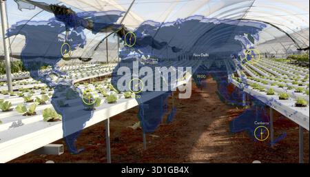 Mit hydroponischem Salat auf Metallregalen, die in einem Kunststoffgewächshaus wachsen, mit Überlagerung der Weltkarte Stockfoto