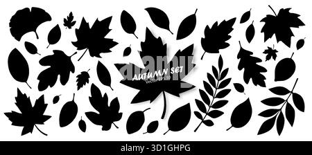 Eine Reihe von Silhouetten von Herbstblättern in verschiedenen Formen in Schwarz auf weißem Hintergrund. Stock Vektor