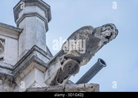 Ein detaillierter, eulenförmiger Gargoyle in der Kathedrale von Palencia dient als Drainagestutzen, der elegant auf einem gotischen Gesims vor klarem Himmel thront. Stockfoto