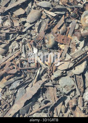 Scheren, Schmuckstücke, wertvolle Gegenstände und Utensilien, die buchstäblich in den Boden der Kanada-Kaserne von Auschwitz-Birkenau eingebettet sind – heute unter Glas aufbewahrt. Stockfoto