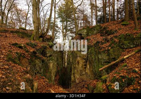Teufelsschlucht An Der Eifel, Teufelsschlucht Mit Mächtigen Felsen Und Schlucht, Wanderweg In Deutschland, Sandsteinformation, Herbst Stockfoto