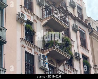 Dekorative Balkone mit Pflanzen an der historischen Gebäudefassade. Architektonische Details, Grün und urbaner Lebensstil in einer europäischen Wohnstraße. Stockfoto