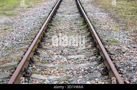 Eisenbahngleis. Perspektivische Ansicht einer leeren, geraden Eisenbahnlinie, die an einem bewölkten Herbsttag im Horizont verschwindet. Stockfoto