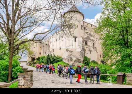 Niedzica Castle, auch bekannt als Dunajec Castle in Niedzica, Polen. Stockfoto