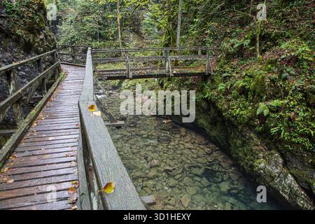 Kamacnik Spaziergang und Brücke über den Fluss Stockfoto
