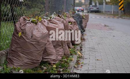 Säcke gefüllt mit Gartenabfällen, die an der Bordsteinkante einer Wohnstraße stehen und für die kommunale Sammlung bereit sind. Saisonale Aufräumszene mit gefallenem Lev Stockfoto