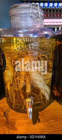 Glasbehälter mit Kräuteraufguss mit sichtbaren Wurzeln, auf einer Holzoberfläche platziert, mit natürlichen Zutaten und rustikalem Ambiente. Stockfoto