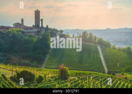 Malerischer Blick auf den berühmten mittelalterlichen Barbaresco Tower über sanfte Hügel, die von üppigen Weinbergen bedeckt sind, während eines warmen Sonnenuntergangs in der Region Langhe, Piemont, Stockfoto