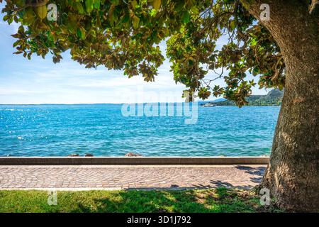 Gerahmter Blick auf das blaue Wasser des Gardasees von der gepflasterten Promenade im Gardasendorf. Großer Baumstamm und Blätter im Vordergrund, Veneto, Ital Stockfoto