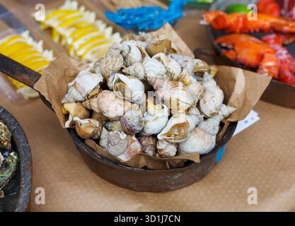Jede Menge Fisch und Meeresfrüchte, geäderter Rapa-Welk auf der Grillpfanne Stockfoto