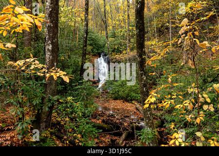 Log Hollow Falls im Herbst – Pisgah National Forest, nahe Brevard, North Carolina, USA Stockfoto