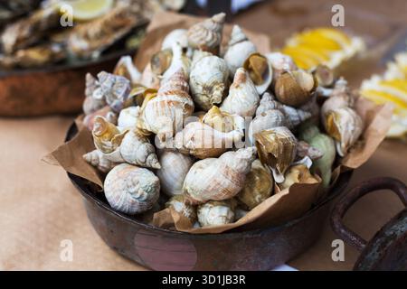 Jede Menge Fisch und Meeresfrüchte, geäderter Rapa-Welk auf der Grillpfanne Stockfoto