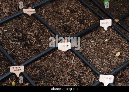 Modernes Tropfbewässerungssystem im Gartenbett Stockfoto