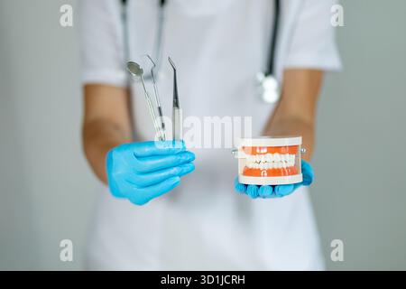 Ein Zahnarzt in Handschuhen zeigt Zahninstrumente und ein Modell von Zähnen, um einen klaren Überblick über Werkzeuge zu erhalten, die bei der Untersuchung der Mundgesundheit und Patienten-edu verwendet werden Stockfoto