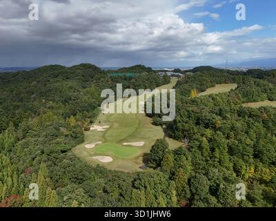 Ein Golfplatz mit grünem Grasgebiet und einem Wald im Hintergrund. Die Bäume sind hoch und der Himmel ist bewölkt Stockfoto