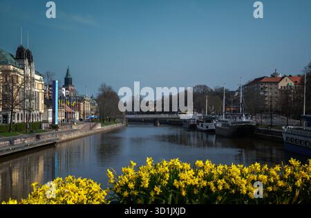 Leuchtend gelbe Blume steht im Kontrast zur Kathedrale von Turku und ruhigen Booten. Stockfoto