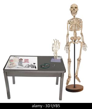 Medizinischer Handspezialist für die Arbeit an Handproblemen Stockfoto