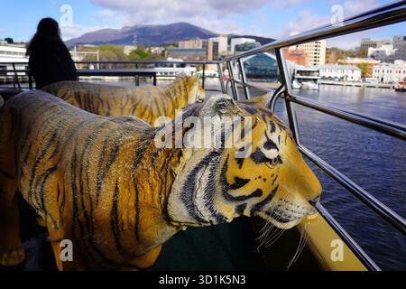 Wildtiere auf der MONA Fähre ab Hobart Stockfoto